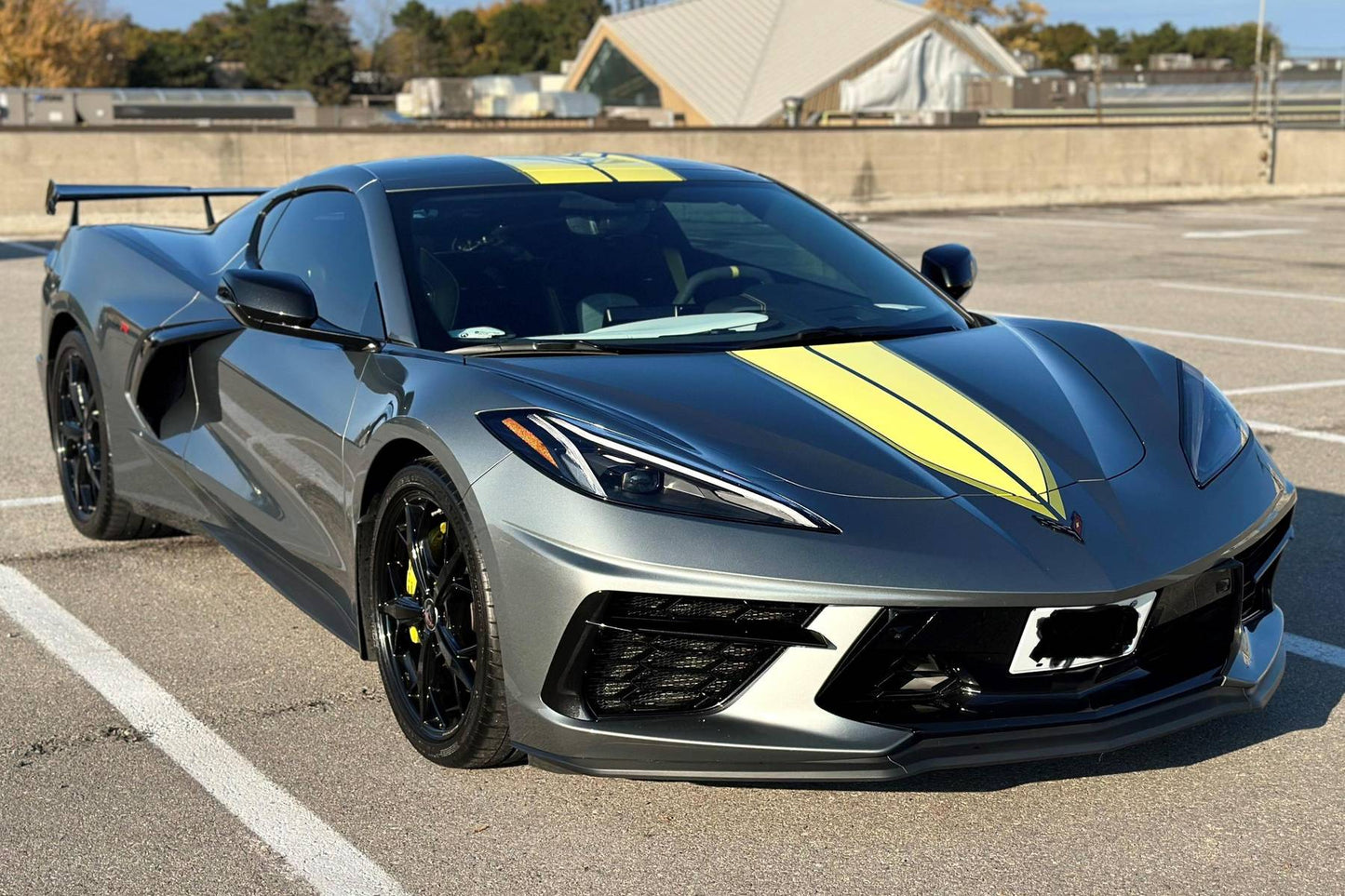 Chevrolet Corvette Stingray Coupe C8.R Championship