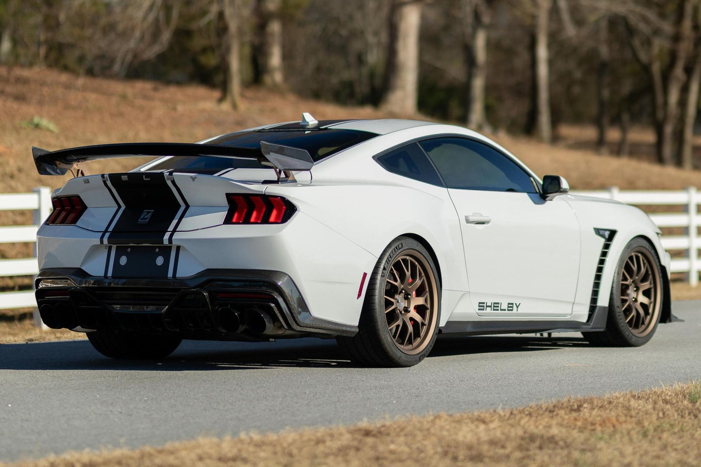 Ford Mustang Shelby Super Snake Coupe