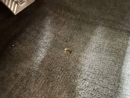 Isuzu Space Cab SX 4x4 