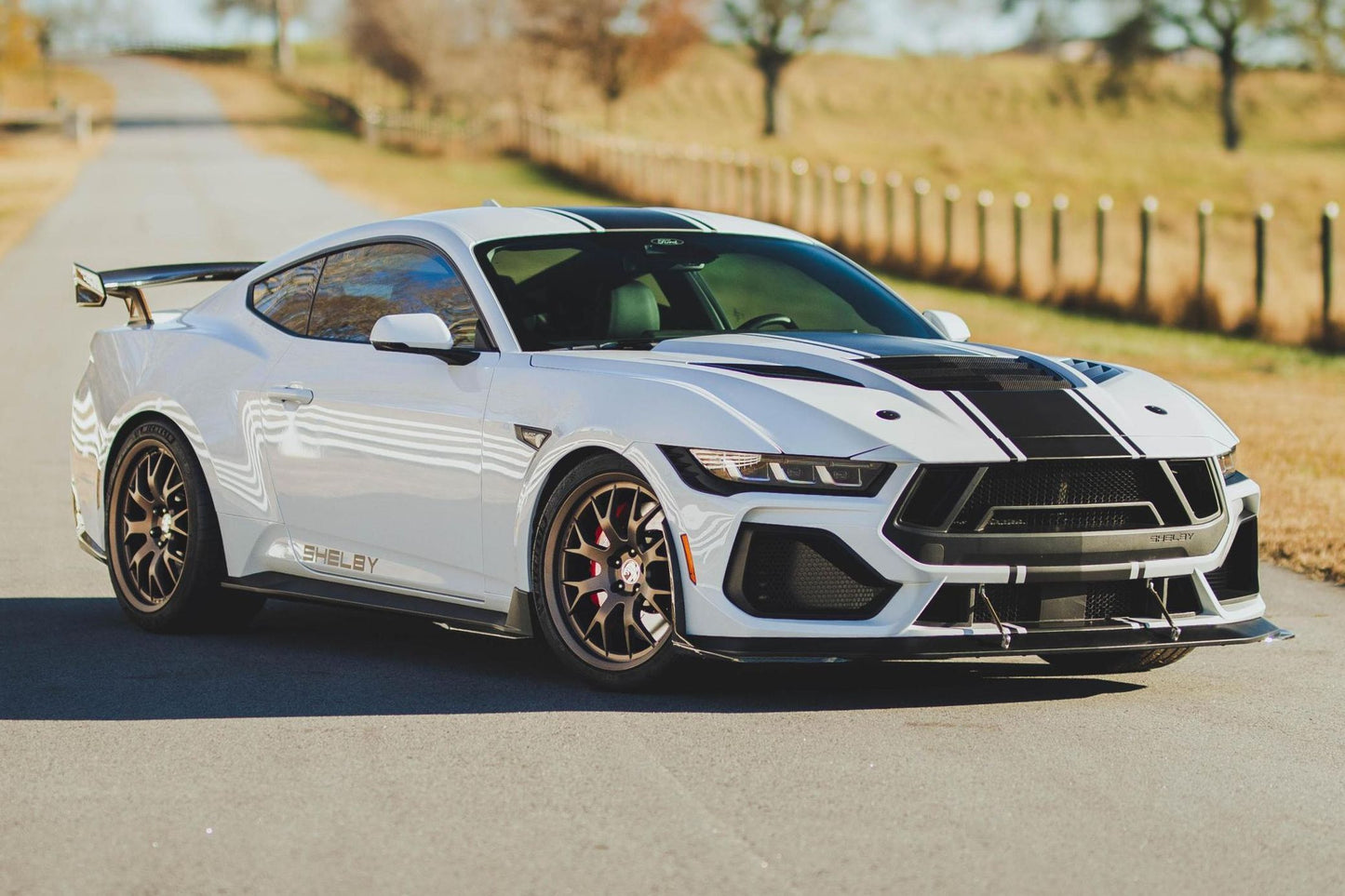 Ford Mustang Shelby Super Snake Coupe