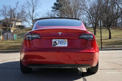 2019 Tesla Model 3 Performance
